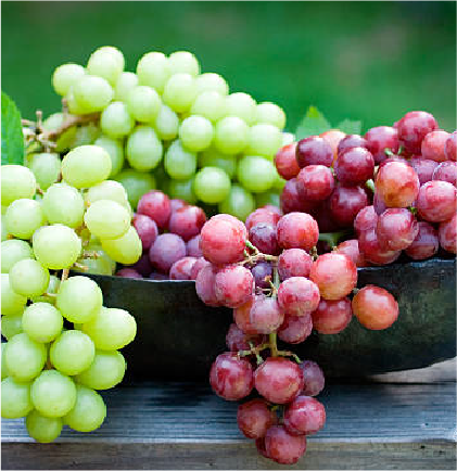 Fresh food ingredients